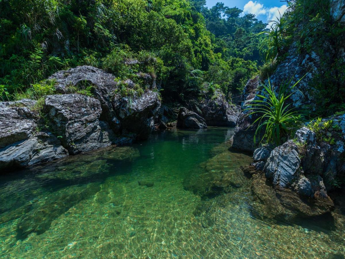 Ada Garden Hotel Okinawa Kunigami Exteriér fotografie
